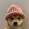 Street Support ✪ 的头像