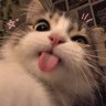 Missy 的头像