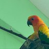 manikanta profil fotoğrafı