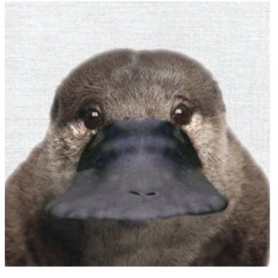 엥ㅇ's profile picture