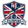FluSpurs's profile picture