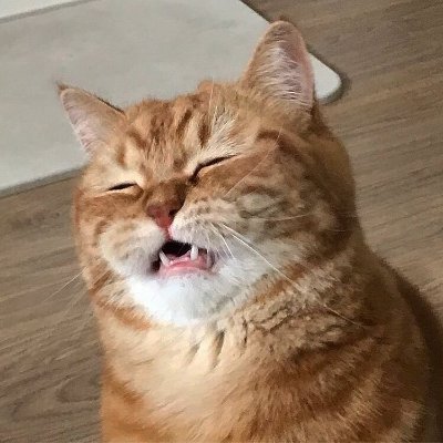 nnj 🍉's profile picture