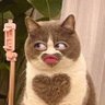Hany~๐'s profile picture