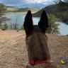 Profilbild von Bella