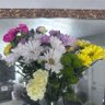 Profilbild von Flowers