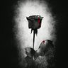โโโโโโ's profile picture