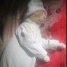 SUL profil fotoğrafı