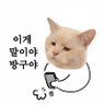 Фото профиля 개똥꾸's