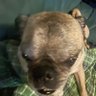 Profilbild von -=MMA DOUGH=-