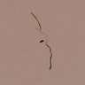Malope Bogatsu's profile picture