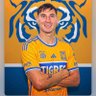 Javier Fernando's profile picture