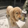 mmm profil fotoğrafı
