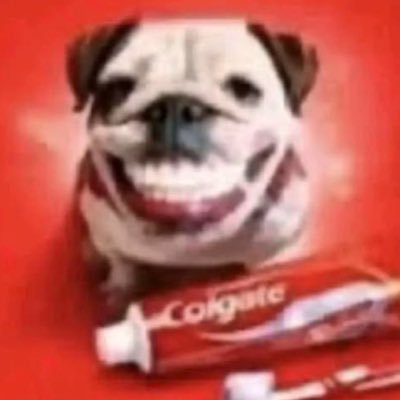 alltrwell's profile picture