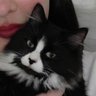 Profilbild von mino