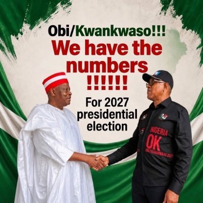 Bia Pulse's profile picture