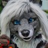 Profilbild von Cassidy Civet 🧡📍🇨🇦 🆓 🇵🇸 ⏩ elbows up! 💪