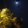 Liaqat H. 的头像