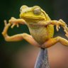 medula-Oblangata profil fotoğrafı