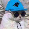 CJ's profile picture