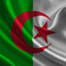 Imed algérien's profile picture