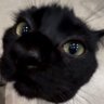 ミレナ's profile picture