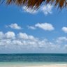 Profilbild von Liz