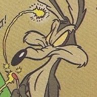 rodeorosebud's profile picture