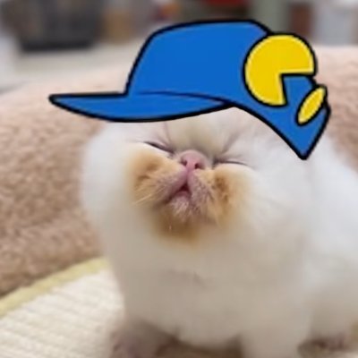 atsuover's profile picture