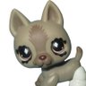 Alaniϟ's profile picture
