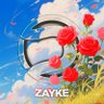 Profilbild von Zayke