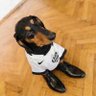 Peixãõ Fodãáâåàäoôõøôhmm's profile picture
