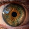 Oraculo profil fotoğrafı