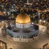 يونس محمد الداودي 的头像