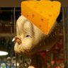 PackersSuck's profile picture
