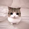 emanuelxd⋆·˚ ༘ *'s profile picture