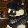 el Doge negro profil fotoğrafı
