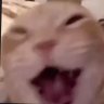 Miyagi's profile picture