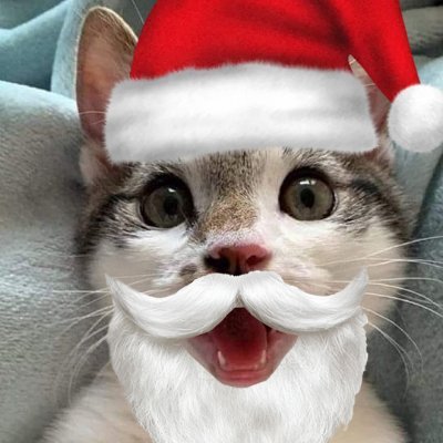 abackupacc88's profile picture