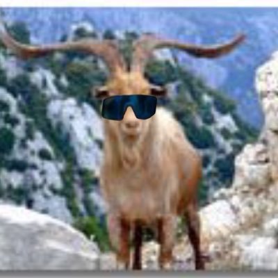Blazecap1203's profile picture