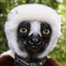 Фото профиля Zahboo