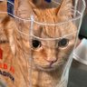 defective profil fotoğrafı