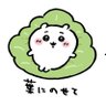 Фото профиля いかちゃん