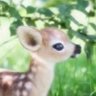 جون's profile picture