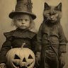 Profilbild von Angryasscat