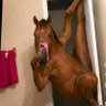 Astounded's profile picture