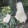 bunny's profile picture