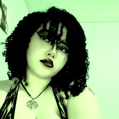Draco_Foxter's profile picture
