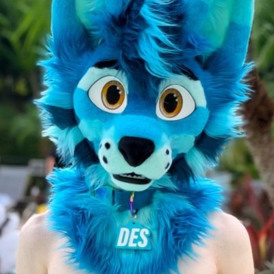 Desolais's profile picture