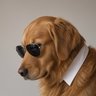 seektree's profile picture