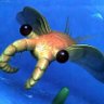 Profilbild von Anomalocaris